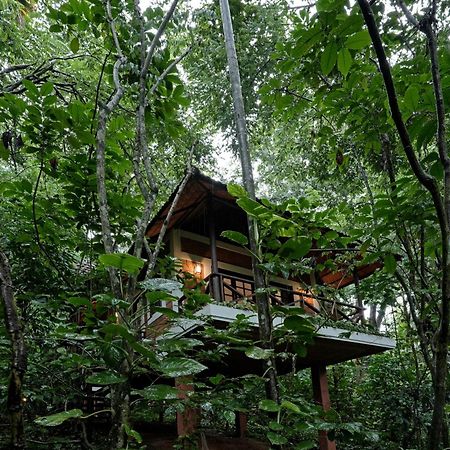 Coffee Acres Resort Kalpatta Extérieur photo
