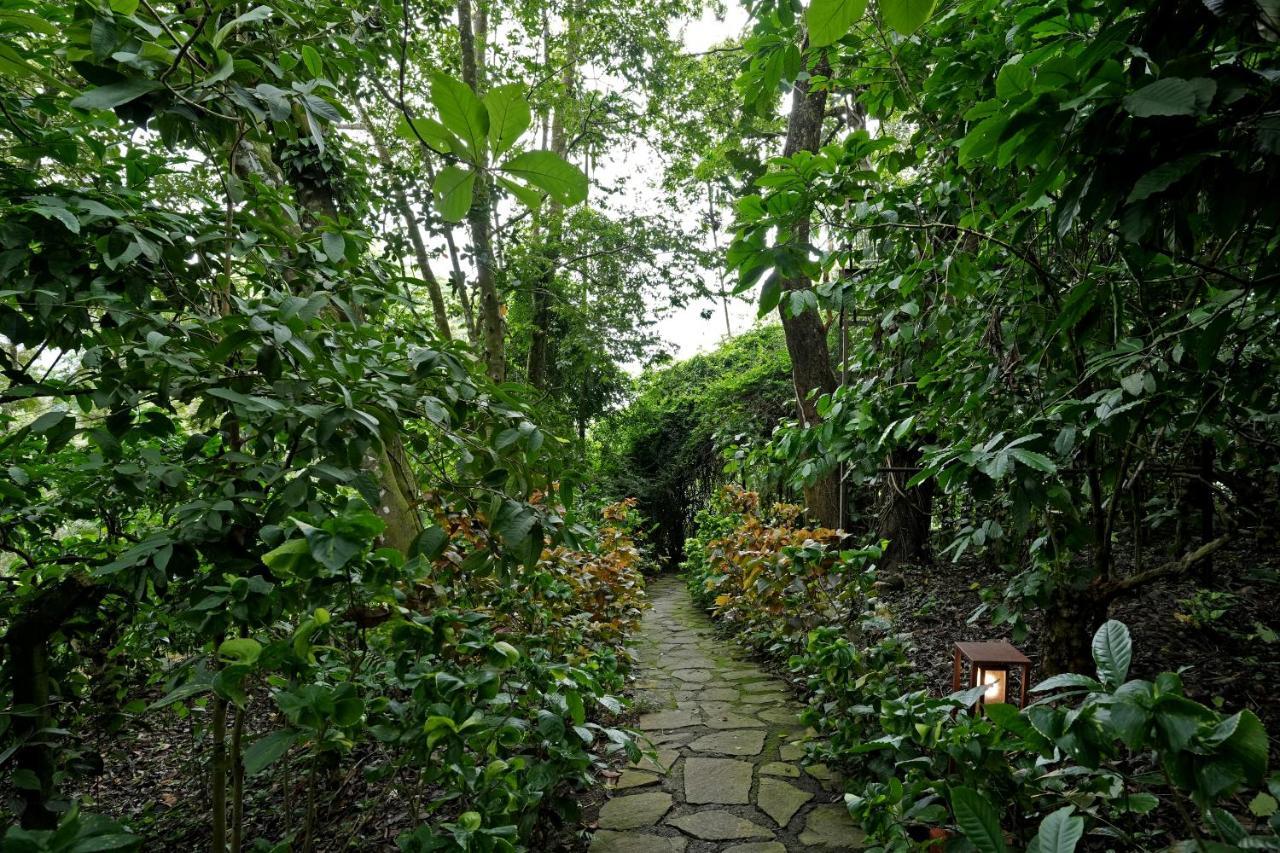 Coffee Acres Resort Kalpatta Extérieur photo