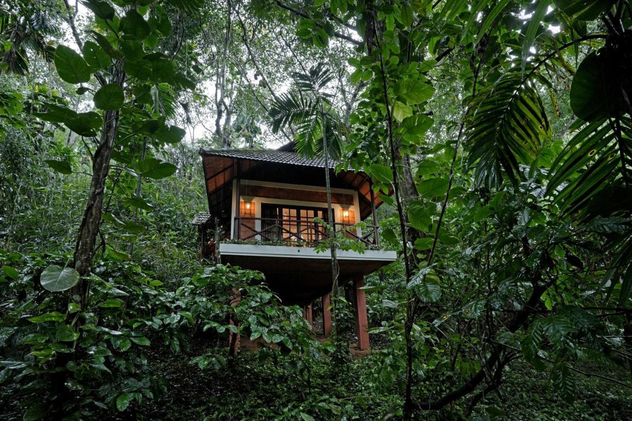 Coffee Acres Resort Kalpatta Extérieur photo