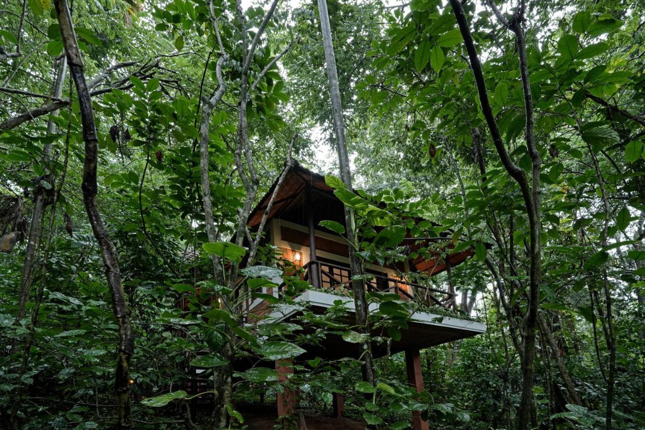 Coffee Acres Resort Kalpatta Extérieur photo