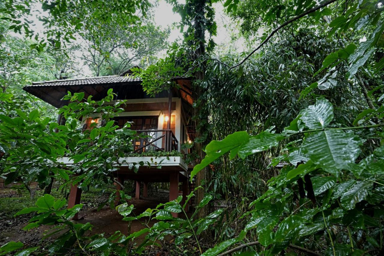 Coffee Acres Resort Kalpatta Extérieur photo