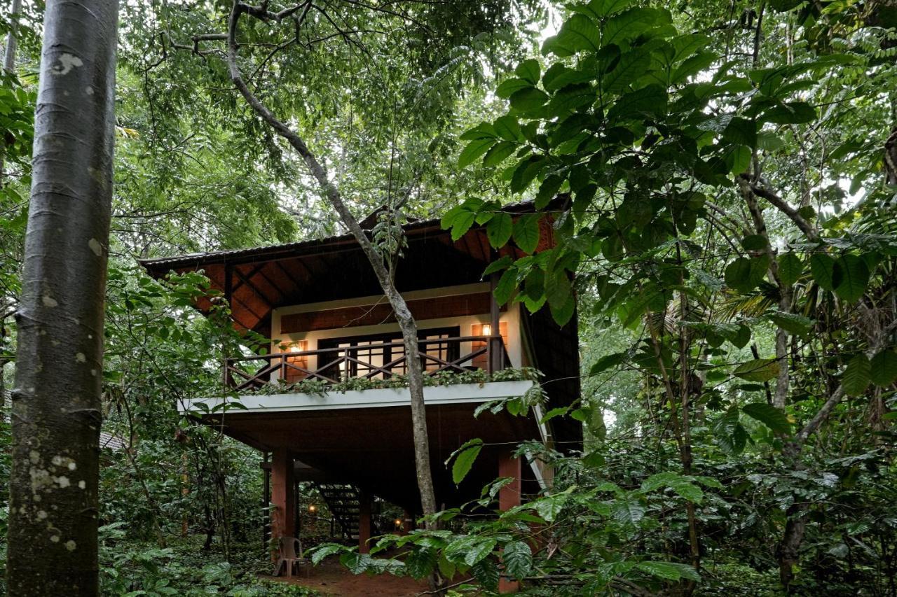 Coffee Acres Resort Kalpatta Extérieur photo