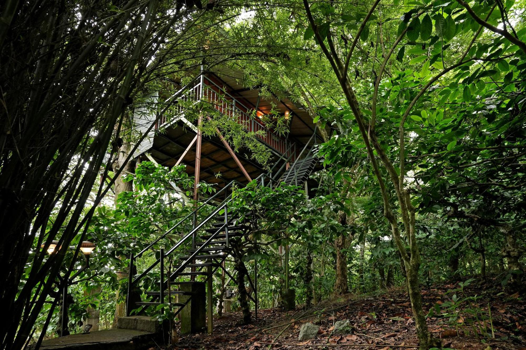 Coffee Acres Resort Kalpatta Extérieur photo