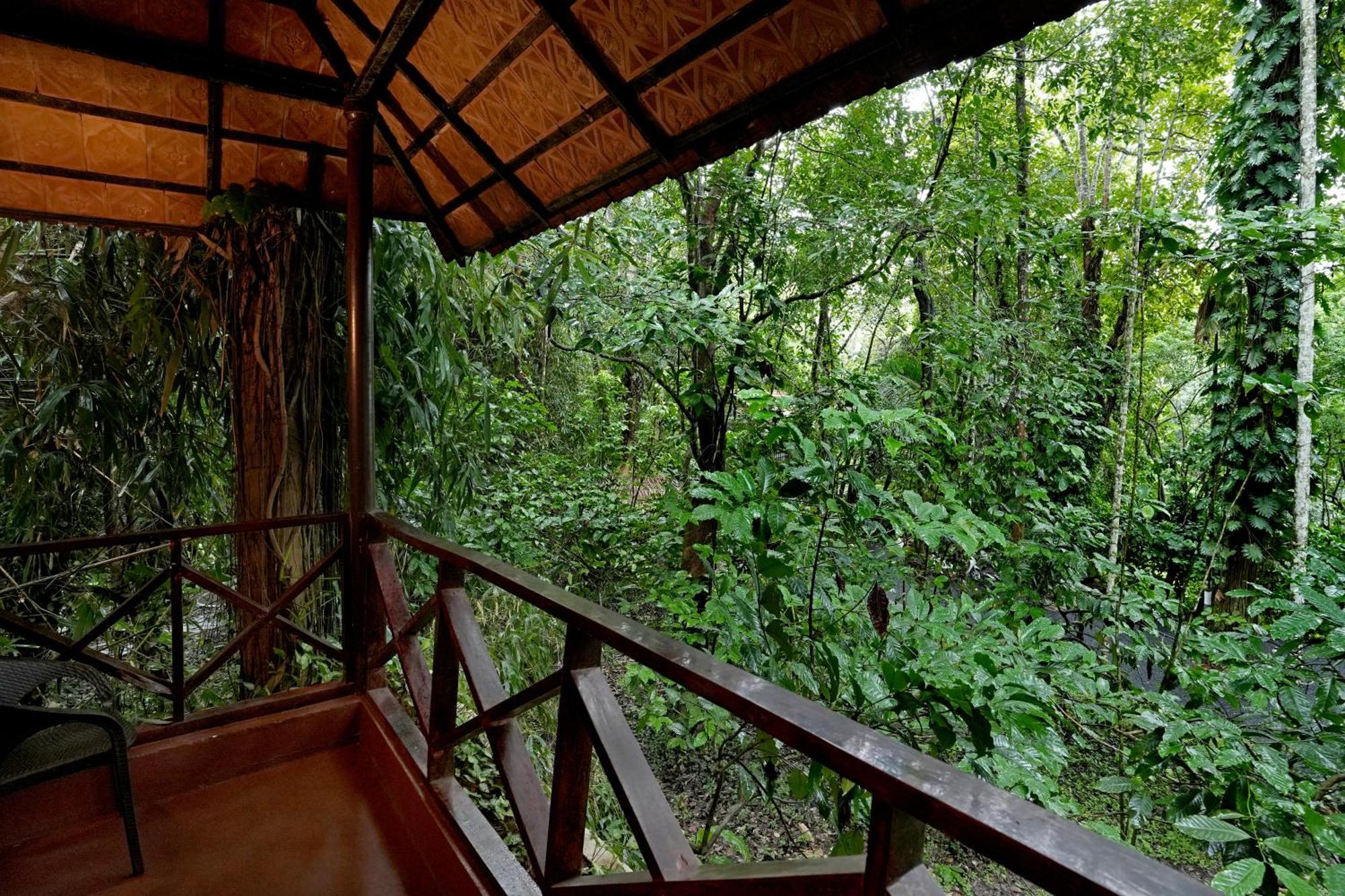 Coffee Acres Resort Kalpatta Extérieur photo